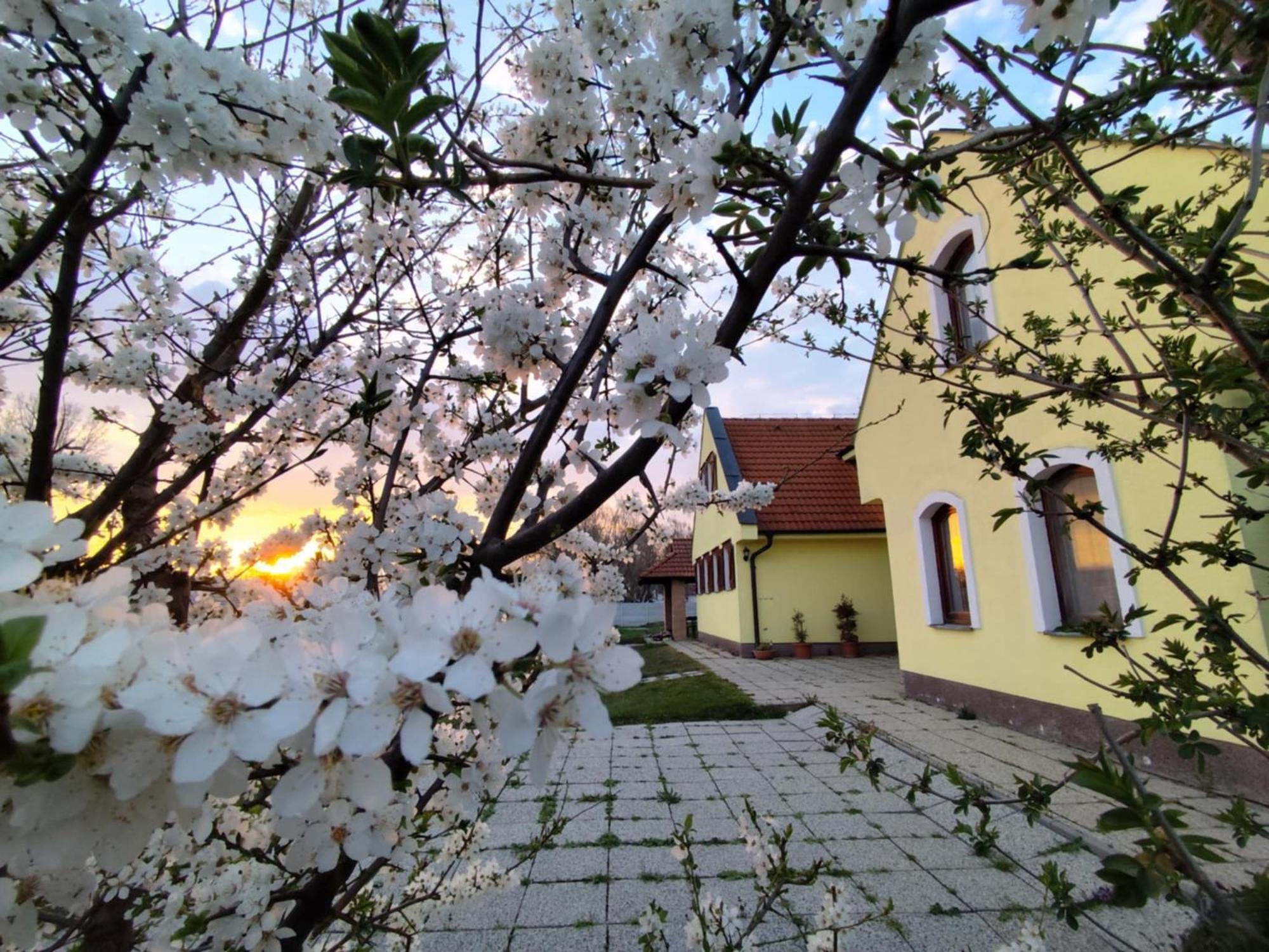 Idylicky Rodinny Penzion Arkadia Pri Dunajskej Cyklotrase Kyselica Extérieur photo
