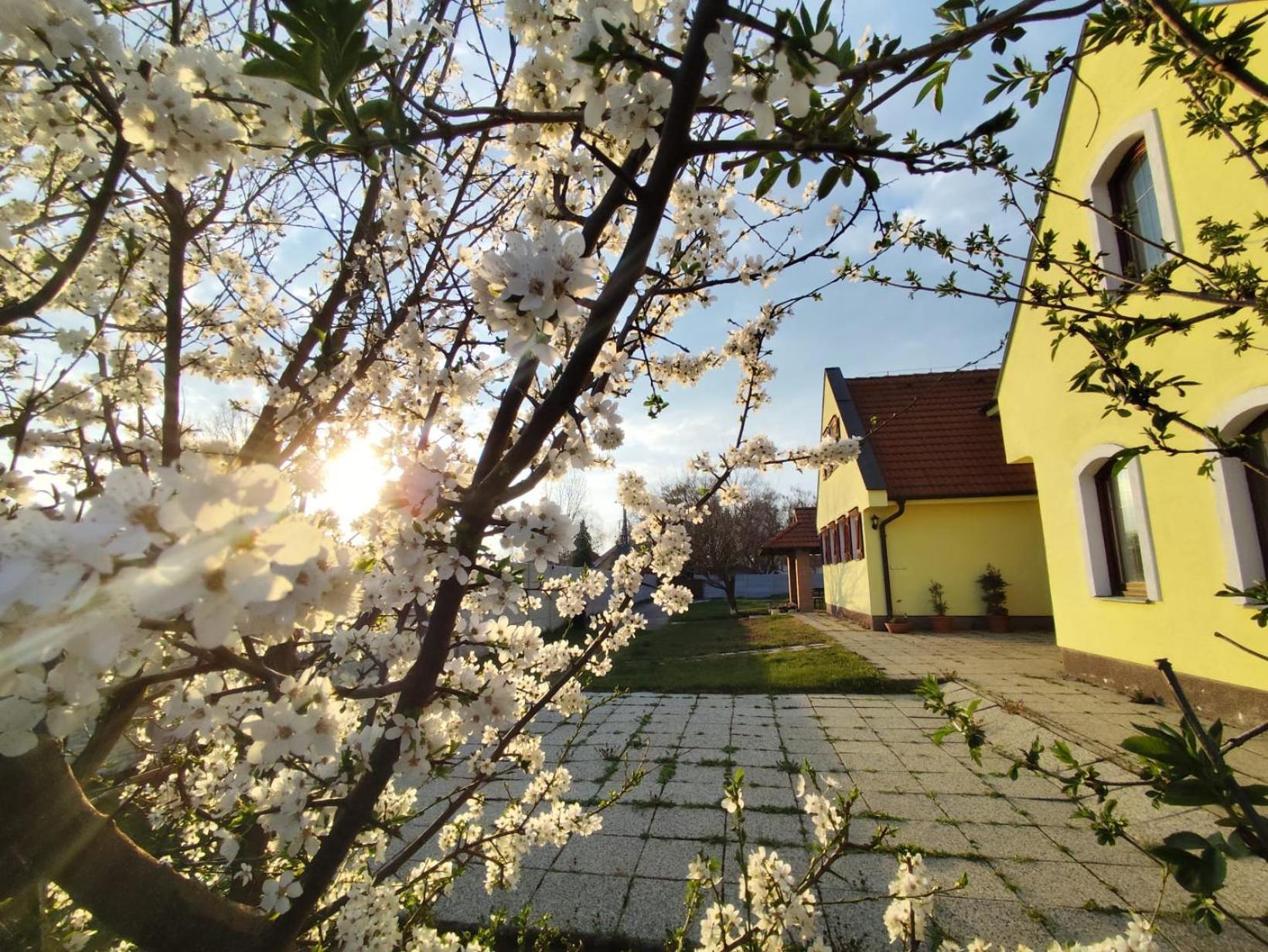 Idylicky Rodinny Penzion Arkadia Pri Dunajskej Cyklotrase Kyselica Extérieur photo