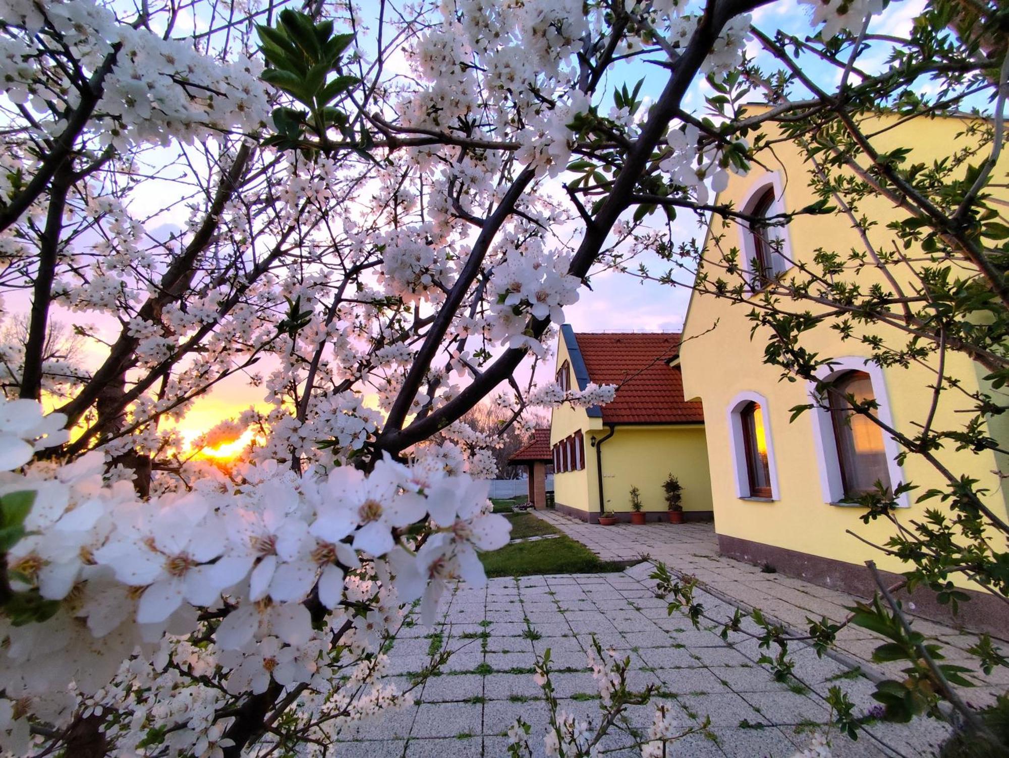 Idylicky Rodinny Penzion Arkadia Pri Dunajskej Cyklotrase Kyselica Extérieur photo